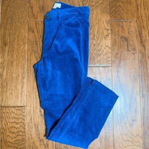 LOFT Royal Blue Suede Cropped Pants